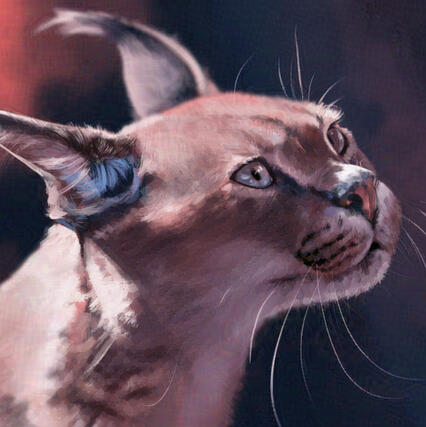 caracal
